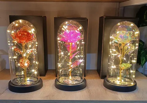 EL REGALO PERFECTO Rosa de Lámina Multicolor