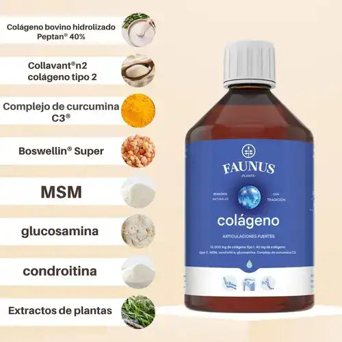 Colagenus® Articulaciones Forte — Movilidad sin dolor, cada día más fuerte