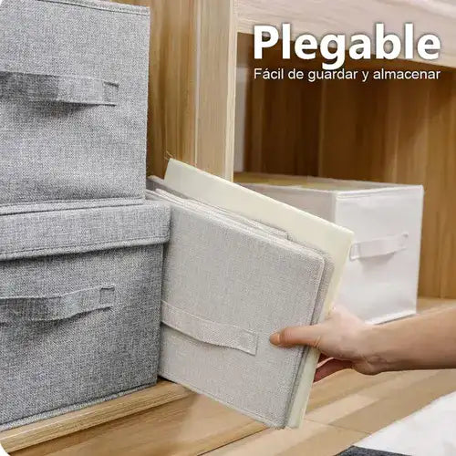 PAGA 1 LLEVATE 3 con Organizador De Ropa 9 Compartimentos